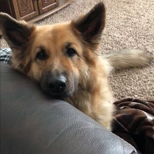 Meet your Posher, Kaitlin